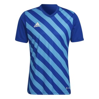 Koszulka adidas ENTRADA 22 GFX JSY HF0116