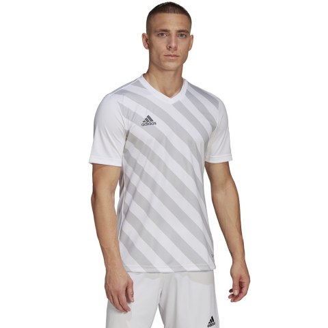 Koszulka adidas ENTRADA 22 GFX JSY HF0129