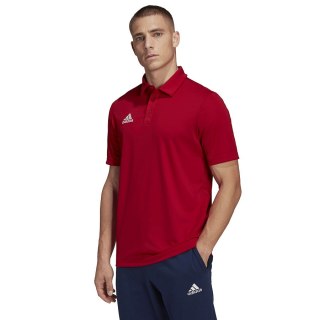 Koszulka adidas Polo ENTRADA 22 Polo H57489