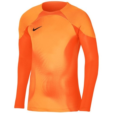 Bluza Nike Gardien IV Goalkeeper JSY DH7967 819