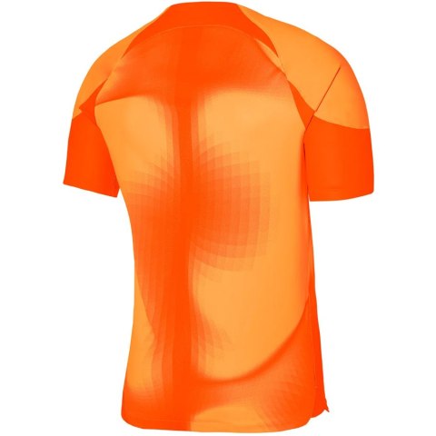 Bluza Nike Gardien IV Goalkeeper JSY SS DH7760 819