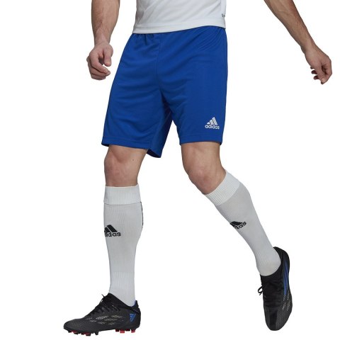 Spodenki adidas ENTRADA 22 Short HG6294