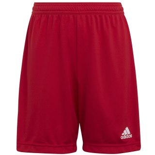 Spodenki adidas ENTRADA 22 Short Y H57501