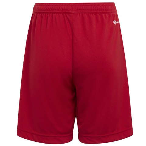 Spodenki adidas ENTRADA 22 Short Y H57501