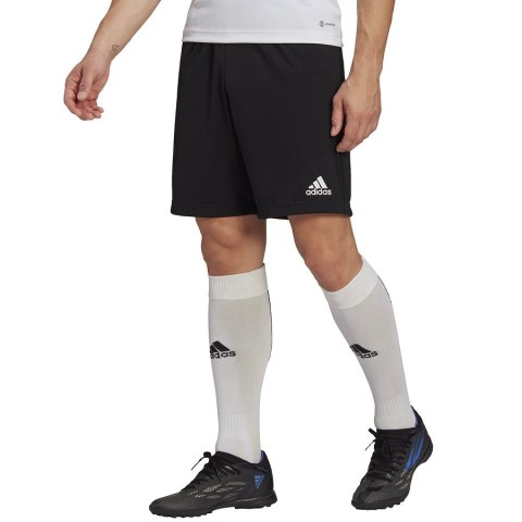 Spodenki adidas ENTRADA 22 Training Short HB0575