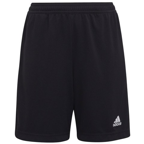 Spodenki adidas ENTRADA 22 Training Short Y H57498