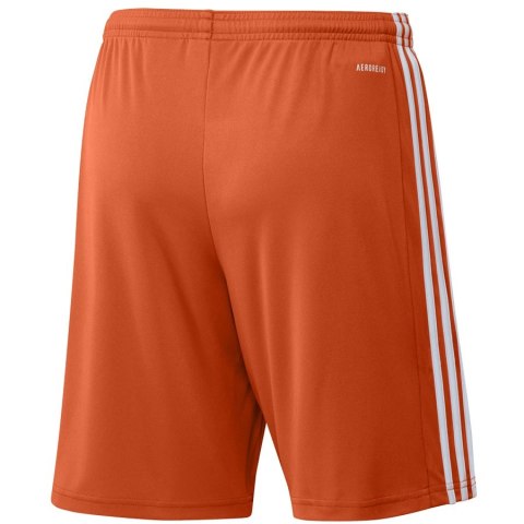 Spodenki adidas SQUADRA 21 Short GN8084