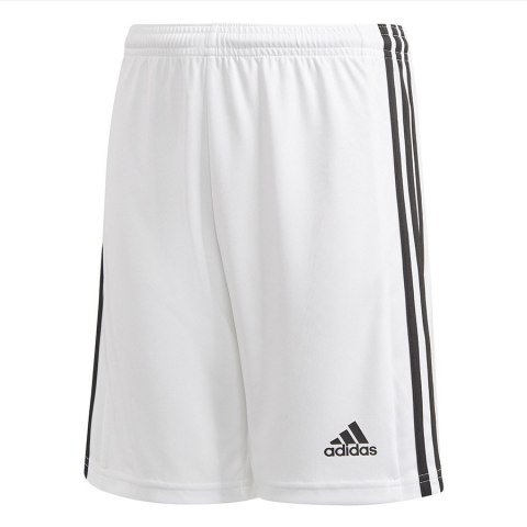 Spodenki adidas SQUADRA 21 Short Y GN5766