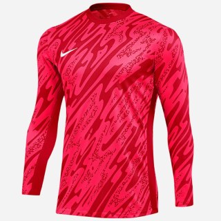 Bluza Nike Gardien V Goalkeeper DF V FD7474-644