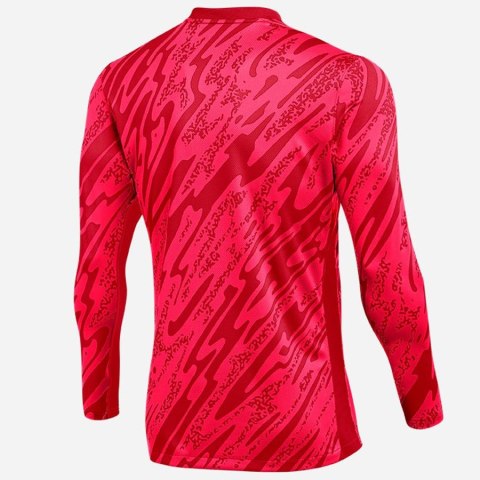 Bluza Nike Gardien V Goalkeeper DF V FD7474-644