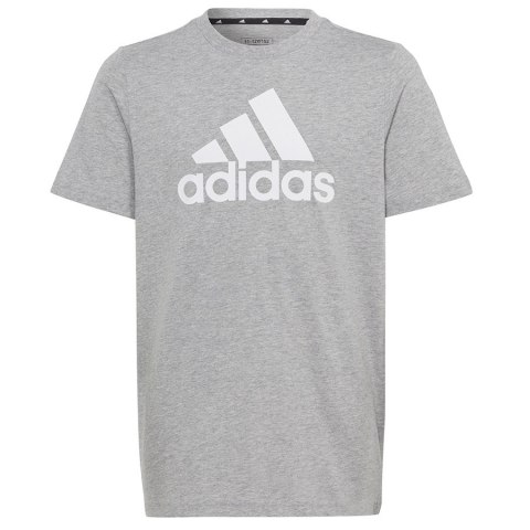 Koszulka adidas Big Logo Tee HR6379