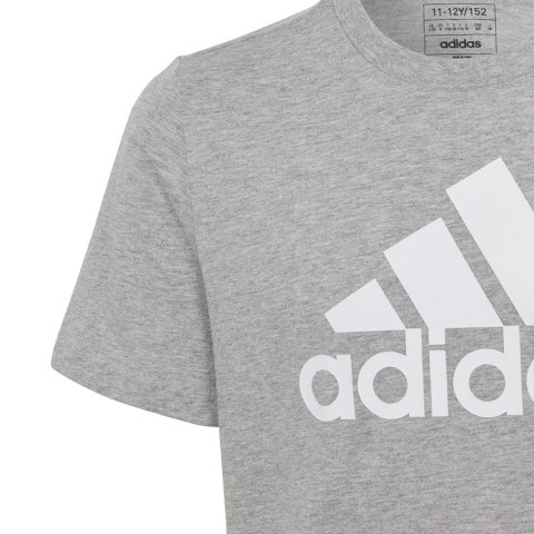 Koszulka adidas Big Logo Tee HR6379