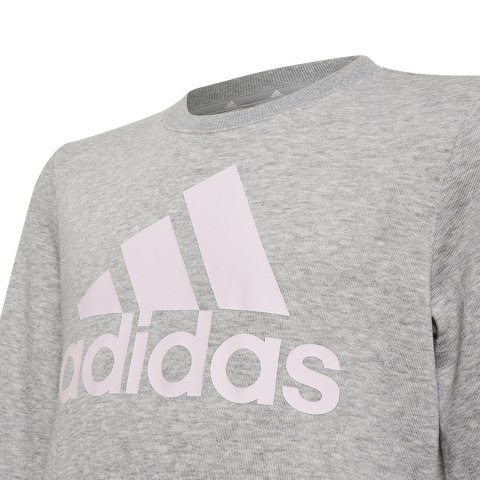 Bluza adidas Big Logo SWT HM8706