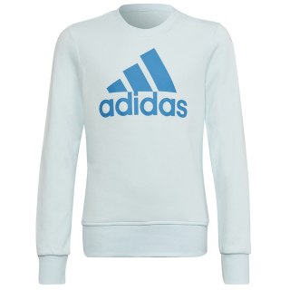 Bluza adidas Big Logo SWT HM8707