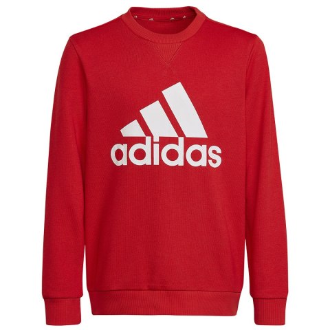 Bluza adidas Big Logo SWT HN1911