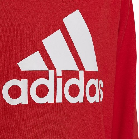 Bluza adidas Big Logo SWT HN1911