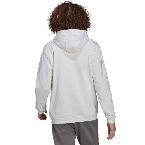 Bluza adidas ENTRADA 22 Hoody HG6302