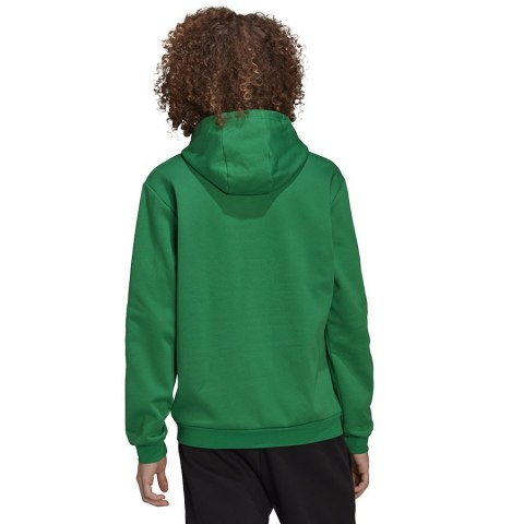 Bluza adidas ENTRADA 22 Hoody HI2141