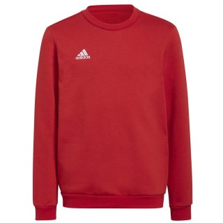 Bluza adidas ENTRADA 22 Sweat Top Y H57473