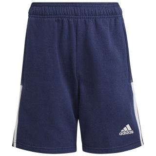 Spodenki adidas TIRO 21 Sweat Short Junior GK9679