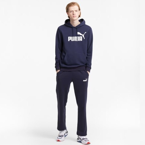 Bluza Puma Essential Big Logo Hoodie TR 586688-06