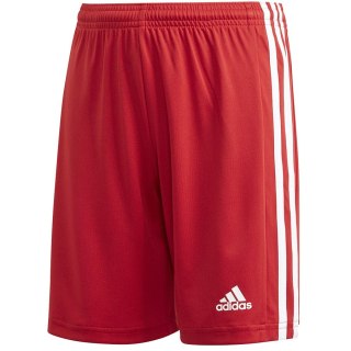 Spodenki adidas SQUADRA 21 Short Y GN5761