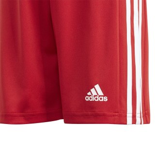 Spodenki adidas SQUADRA 21 Short Y GN5761