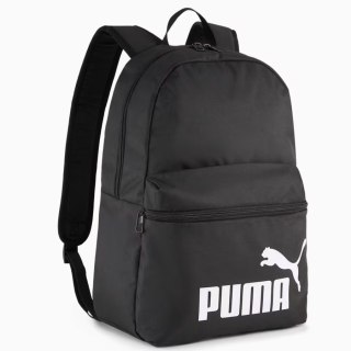 Pleack Puma Phase 091164-01