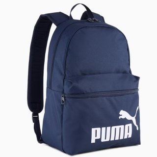 Pleack Puma Phase 091164-02