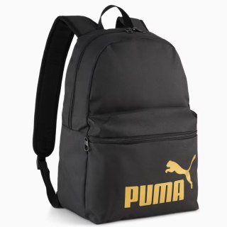 Pleack Puma Phase 091164-03