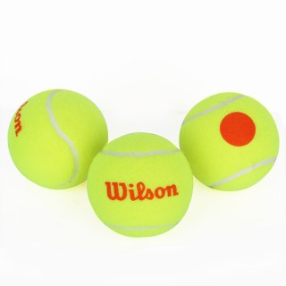 Piłka tenisowa Wilson Starter Orange